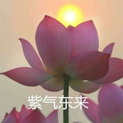 梦境之国历险记手游下载